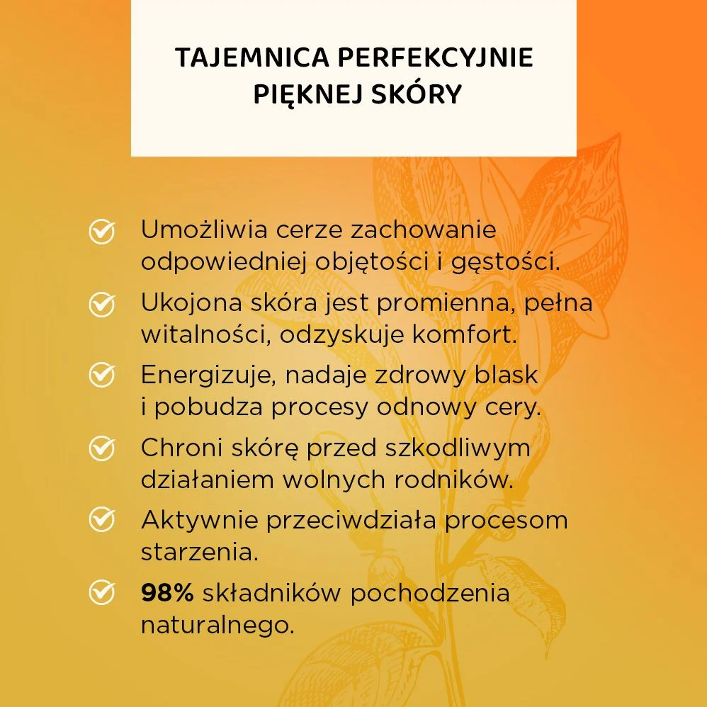 Głęboko odżywczy krem poprawiający owal twarzy 70+ - Image 3